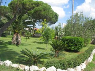 Villa Rita Bed & Breakfast - Campi Salentina - 4
