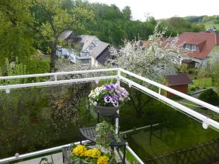 Ferienwohnung Dommes - Fuhrbach - 9