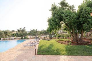 Masseria il Vignale - 2