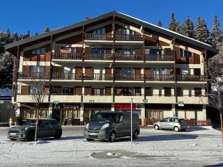 Ultimate Condo - 4 Valleys - Ski-in out - Swiss Alps - 9