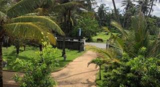 C J Beach Resort - 8