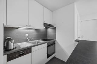 Lion 010 sur la place du Village a Anzere - 2