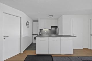 Lion 010 sur la place du Village a Anzere - 1