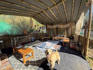 Rahgir Mcleodganj - 9