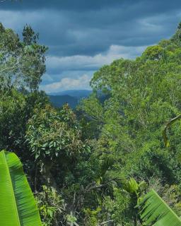 Liana Guest House Ella - 1