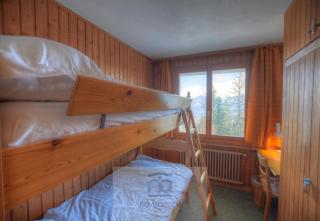 Chalet Arpille a Anzere en plein nature - 5