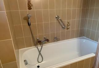 Asters 24 pres de la telecabine a Anzere avec vue sur les Alpes - 2