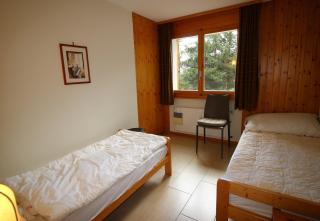 Asters 24 pres de la telecabine a Anzere avec vue sur les Alpes - 1