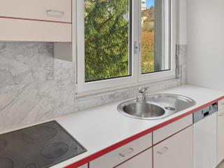 Amazing 2 bedroom flat: specious and central (Duke2) - Zurigo - 3