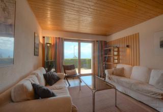 Orion 004 au centre a Anzere avec vue sur les Alpes - 0