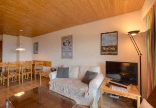 Orion 004 au centre a Anzere avec vue sur les Alpes - 9