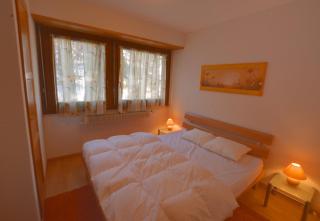 Orion 208 au centre a Anzere avec vue sur les Alpes - 5