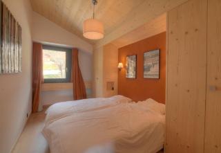 Orion 309 au centre a Anzere avec vue sur les Alpes - 2