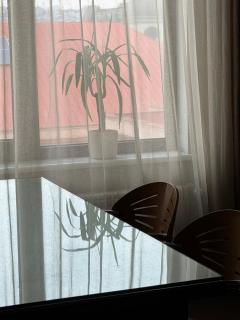 2BR Apartment in Downtown "Rustaveli Residence" - Tiflis - 7