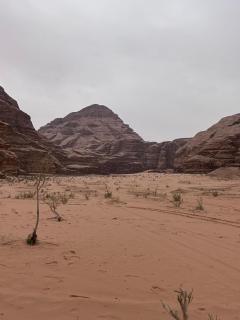 Wadi Rum Imperial Star Luxury Camp - 2