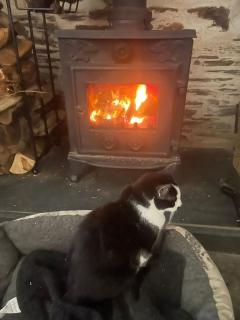 SPRING GARDENS B&B - 8