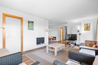 Saphir 104 pres de la telecabine a Anzere - 3