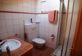 Trembles E 6 a Anzere avec vue sur les Alpes - 4