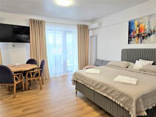 Mountain View Studio - 9