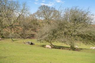 2 Bed in Risca oc-h35978 - 6