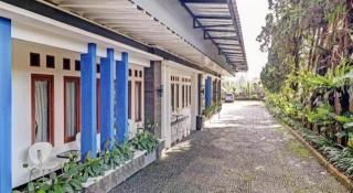 Collection O 90475 My Grand - 5