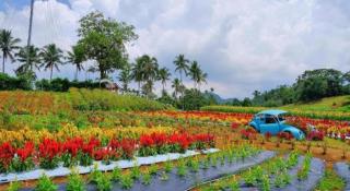 Batis Aramin Resort And Hotel Corp. - 4