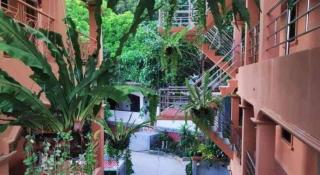 Summer Connection - 2