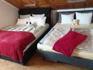 Apartment in Zagreb nähe Park - 8