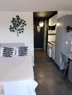 CADUCÉE Studio climatisé balcon ensoleillé parking proche Montpellier - 7