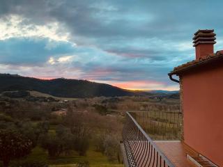 Stunning Tuscan Farm House with an Olive Grove - 7
