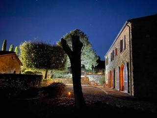 Stunning Tuscan Farm House with an Olive Grove - 5