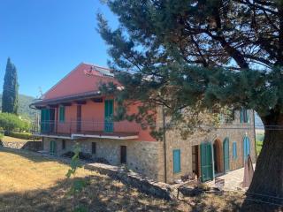 Stunning Tuscan Farm House with an Olive Grove - 3