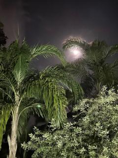 By The Dam Farmstay - 3