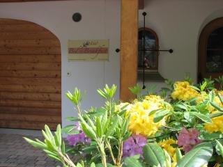 Bed & Breakfast La Val - Trin - 5