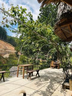 Vườn Nhà Củi Homestay - 5