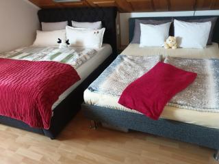 Apartment in Zagreb nähe Park - 3