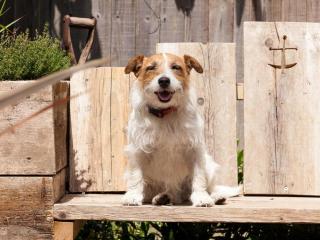 1 Bed in Northiam oc-bt033 - 1