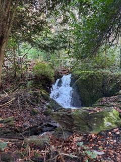 1 Bron Rhedyn Holiday Cottage - 1