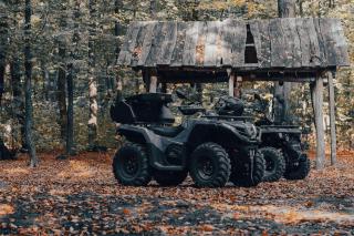 Albert Mountain Retreat & SPA - 3