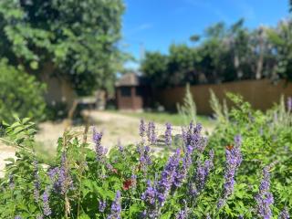 Cocon cosy avec jardin privé à Seguret - 1