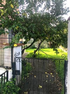 Casa Amaré Circeo - 2