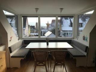 helle ruhige Wohnung mit vielen Extras im Grünen - 7
