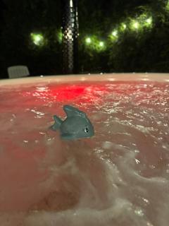 Morze Lubiatowo - Lubiatowo - 2