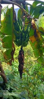 Lucmabamba Cabaña de los Duendes - 9