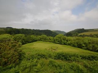 2 Bed in Woolacombe oc-43279 - 1