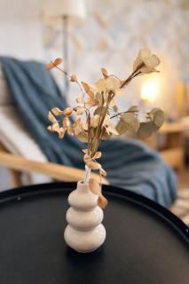 Serenity City Studio - 0