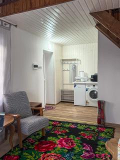 Cazare-LaBadeaMircea - 7