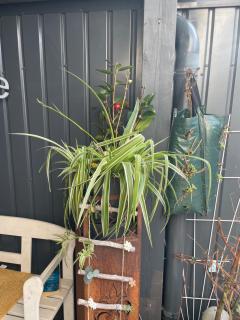 Moderne Wohnung Bahnhof nähe - 3