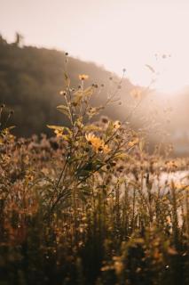 Appartement spacieux, Charmant quartier Médiéval - 5