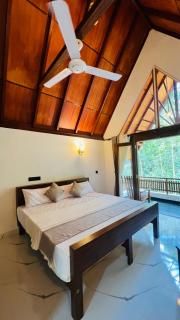 rainforest river song - 8